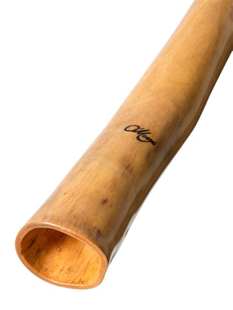 authentic didgeridoo|More.